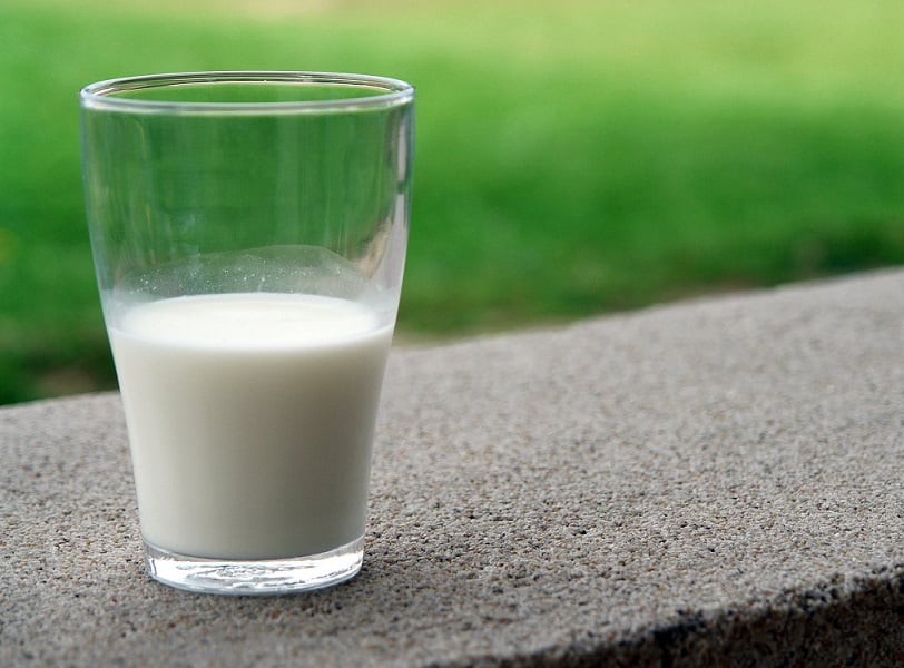 כוס חלב כאילוסטרציה לסידן