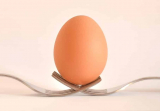 אבקת חלבון ביצה: 4 אבקות חלבון ביצה מומלצות לשנת 2024